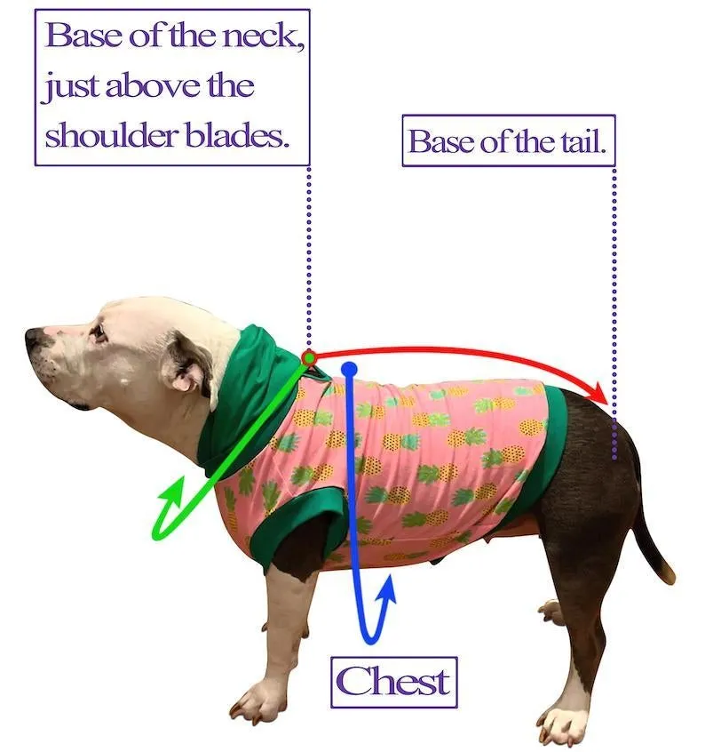 Classy Dog Peacoat With Barkberry & Fleece Lining  - Removable Hoodie (Red & Navy Blue)