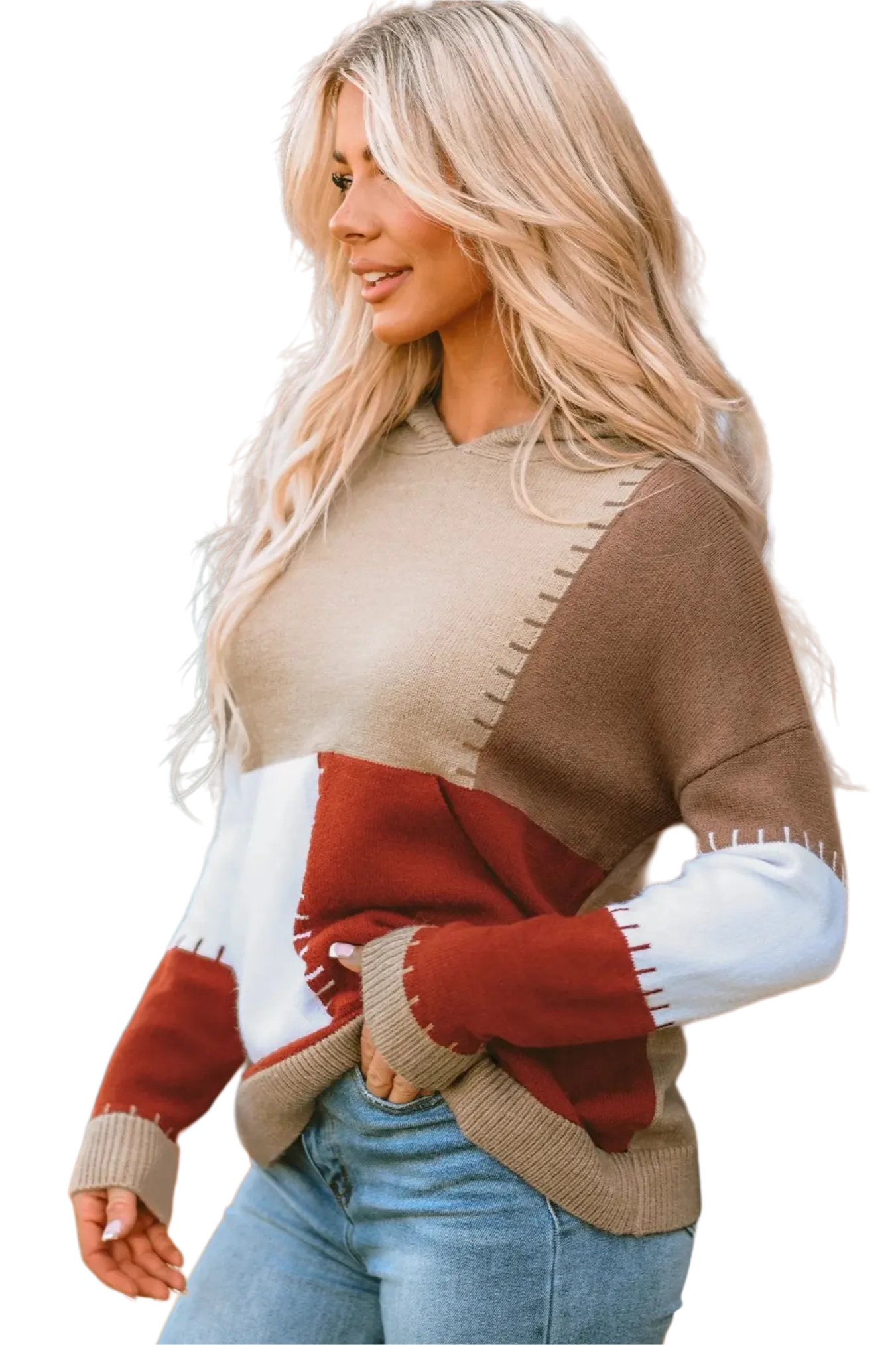 Color Block Long Sleeve Hooded Sweater